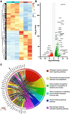 Aconitate decarboxylase 1 mediates the acute airway inflammatory response to environmental exposures